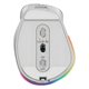 Mouse Genius Ergo 9000S Pro